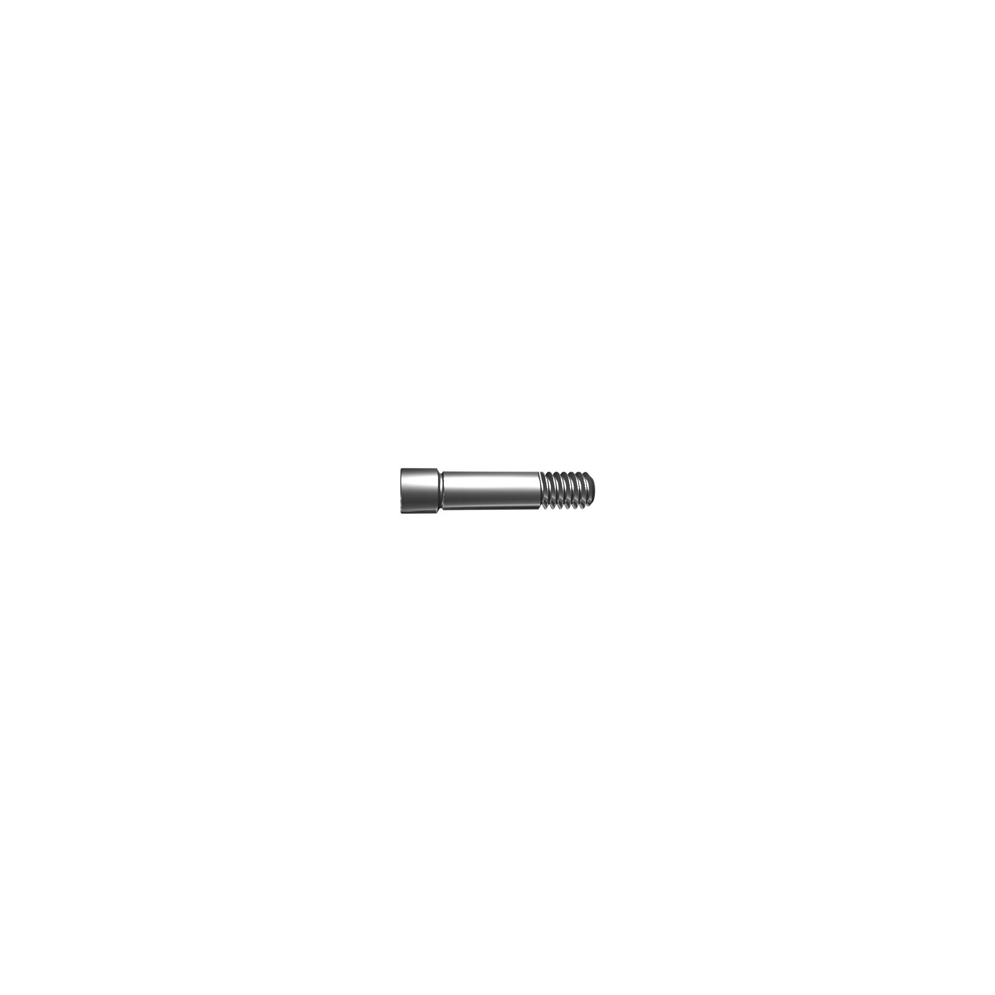 Screw