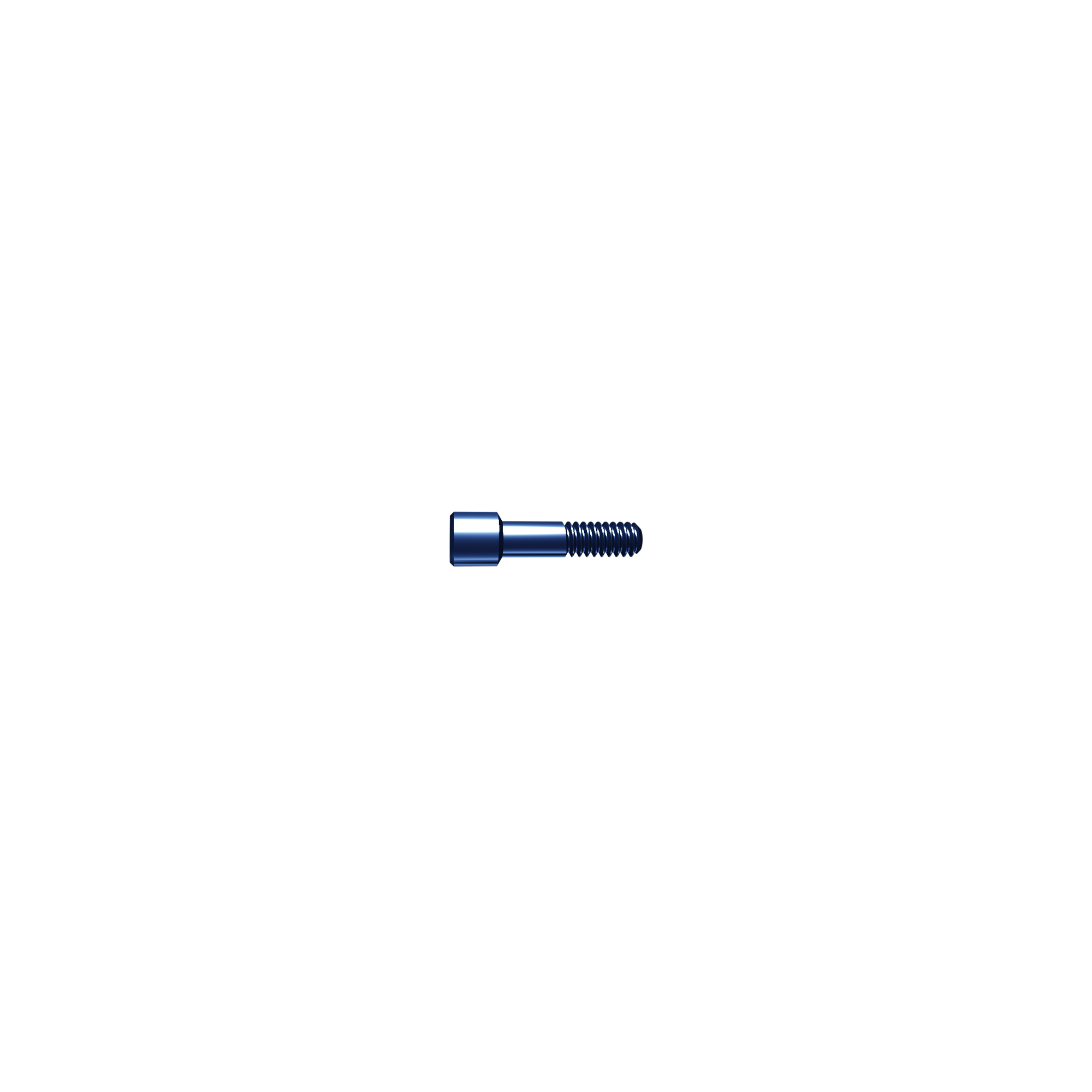 Screw temporary