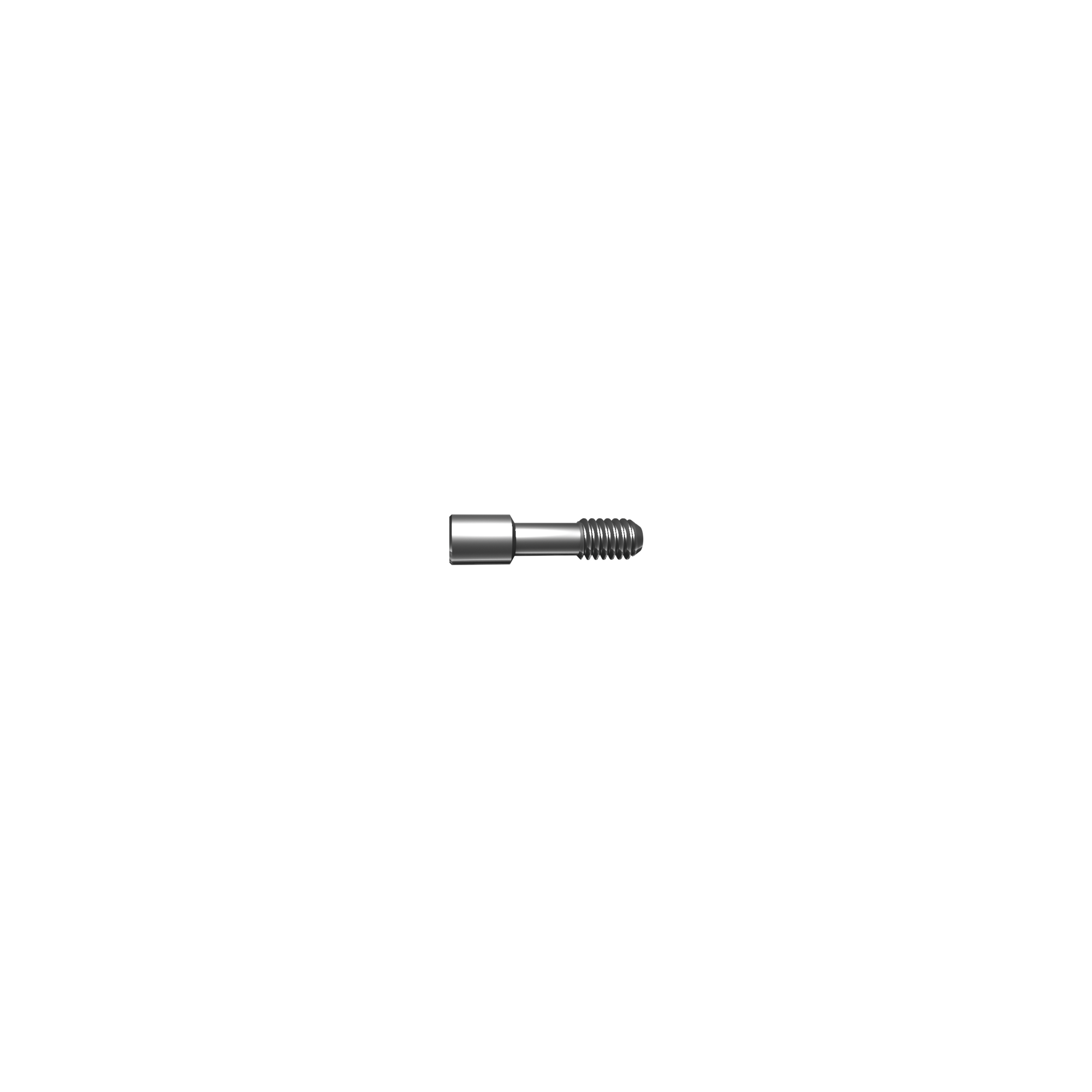 Screw