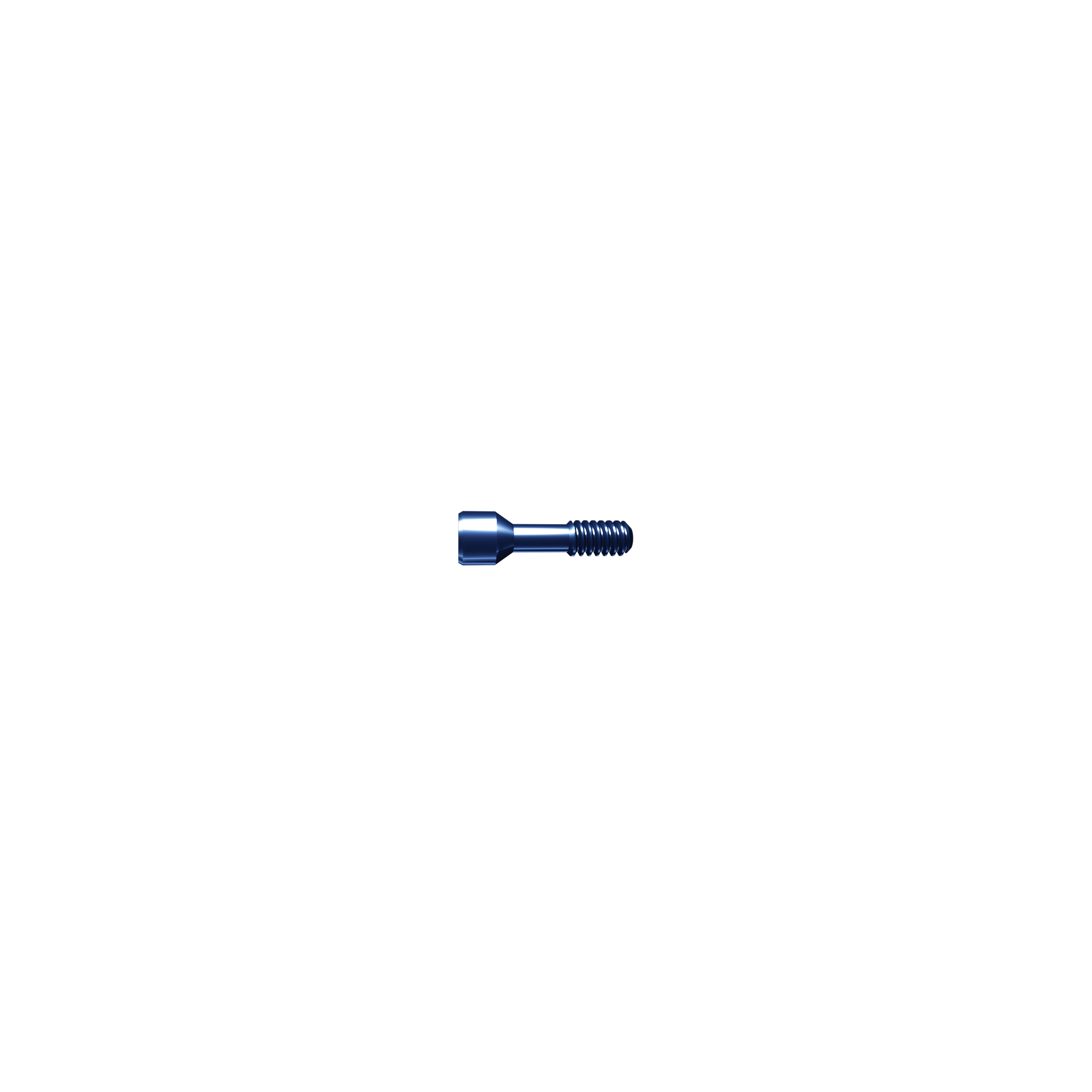 Screw temporary