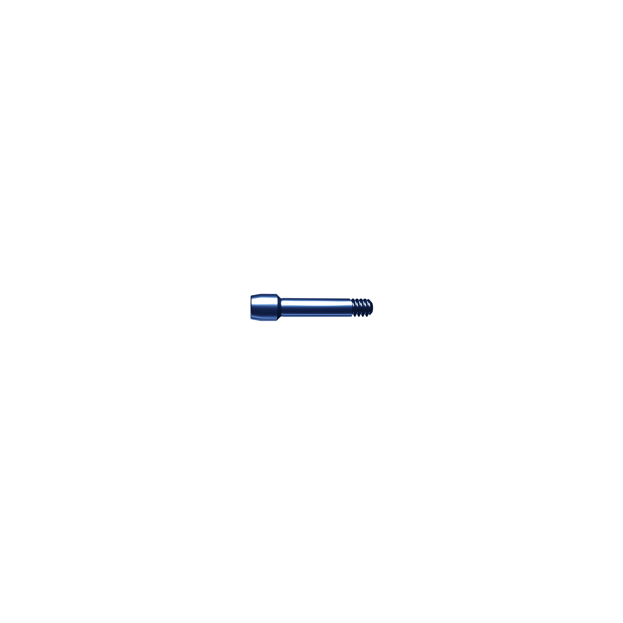 Screw temporary