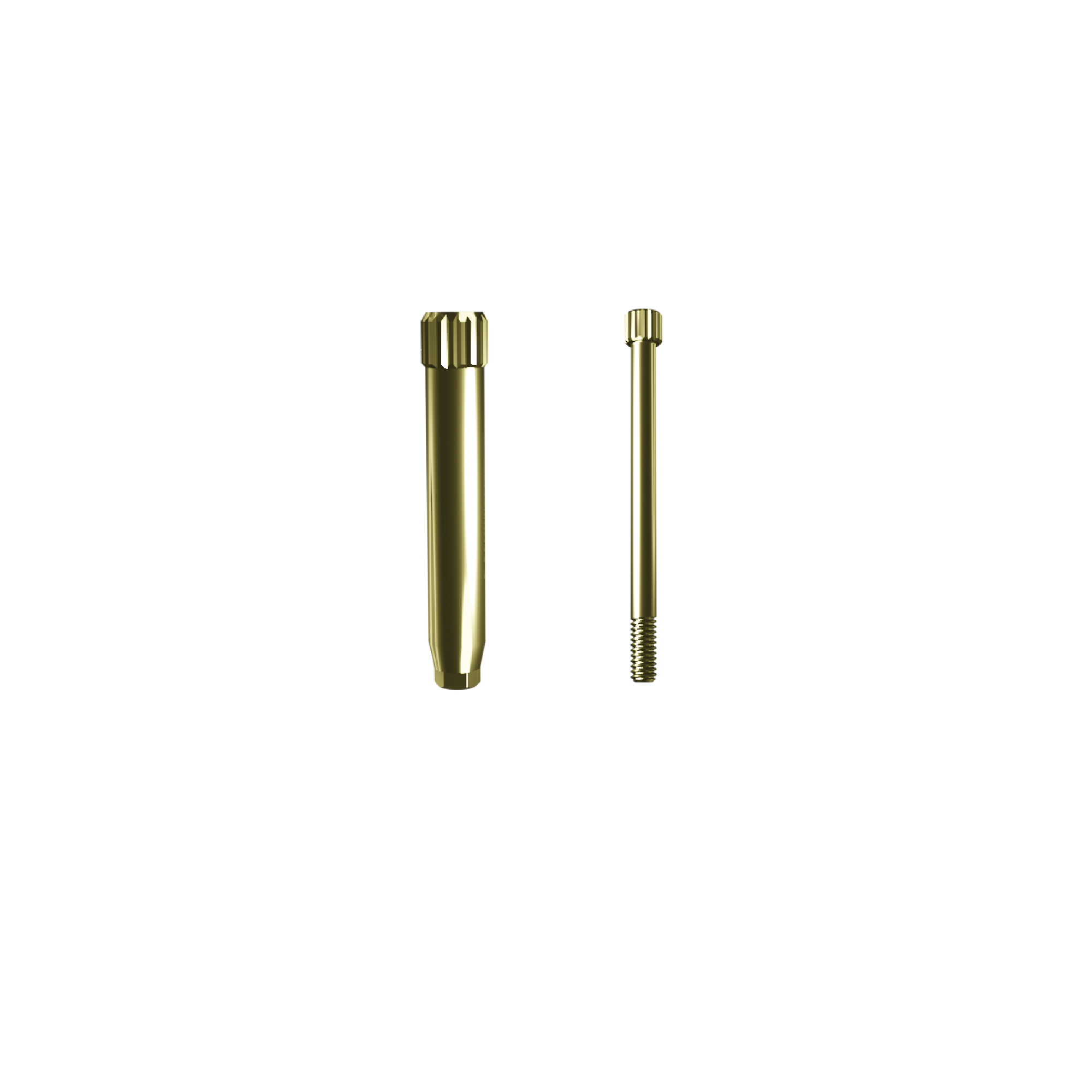 3D implant analog positioner