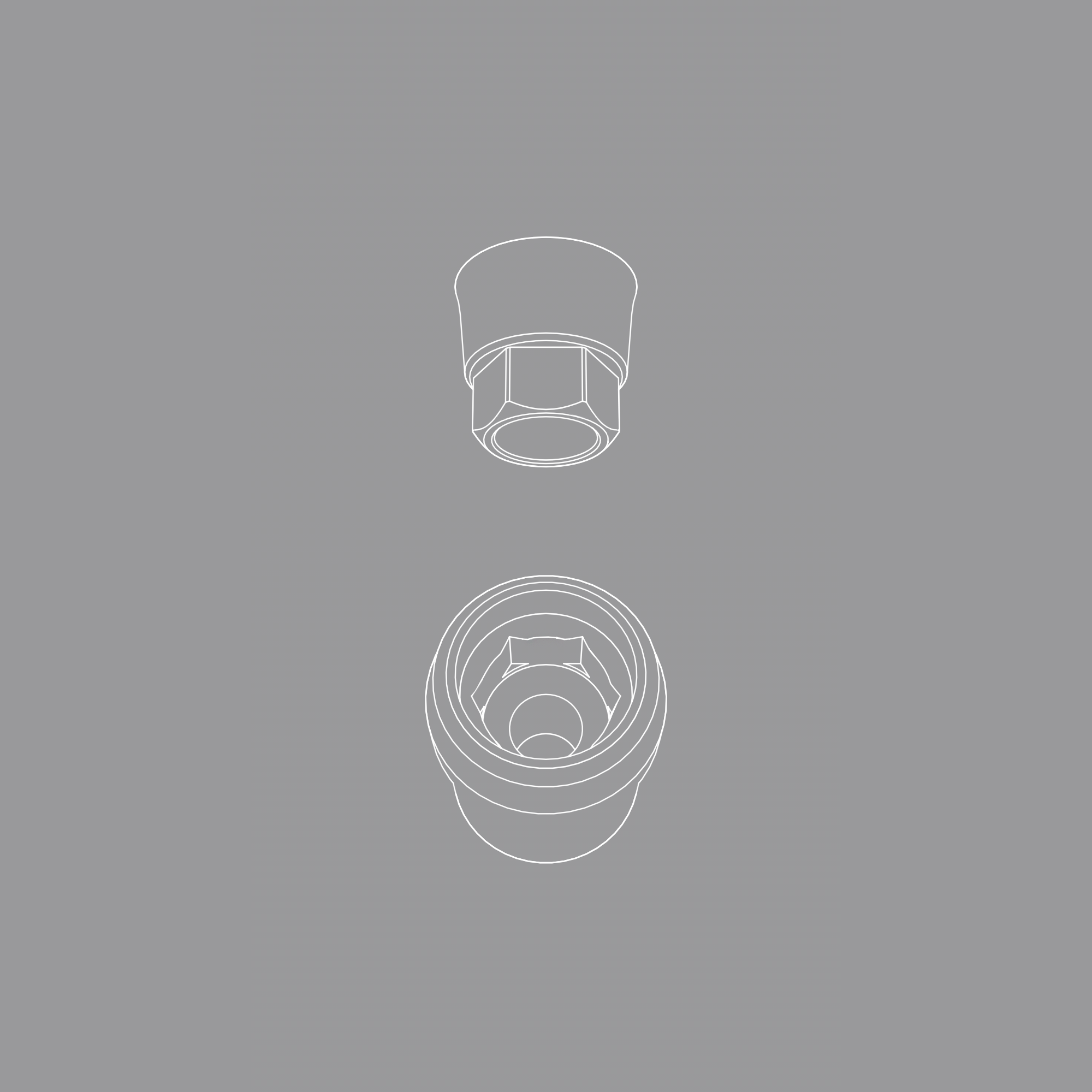 Scanbody. Hybrid titanium/PEEK. ReplicaDent screwdriver only (4.5 mm).