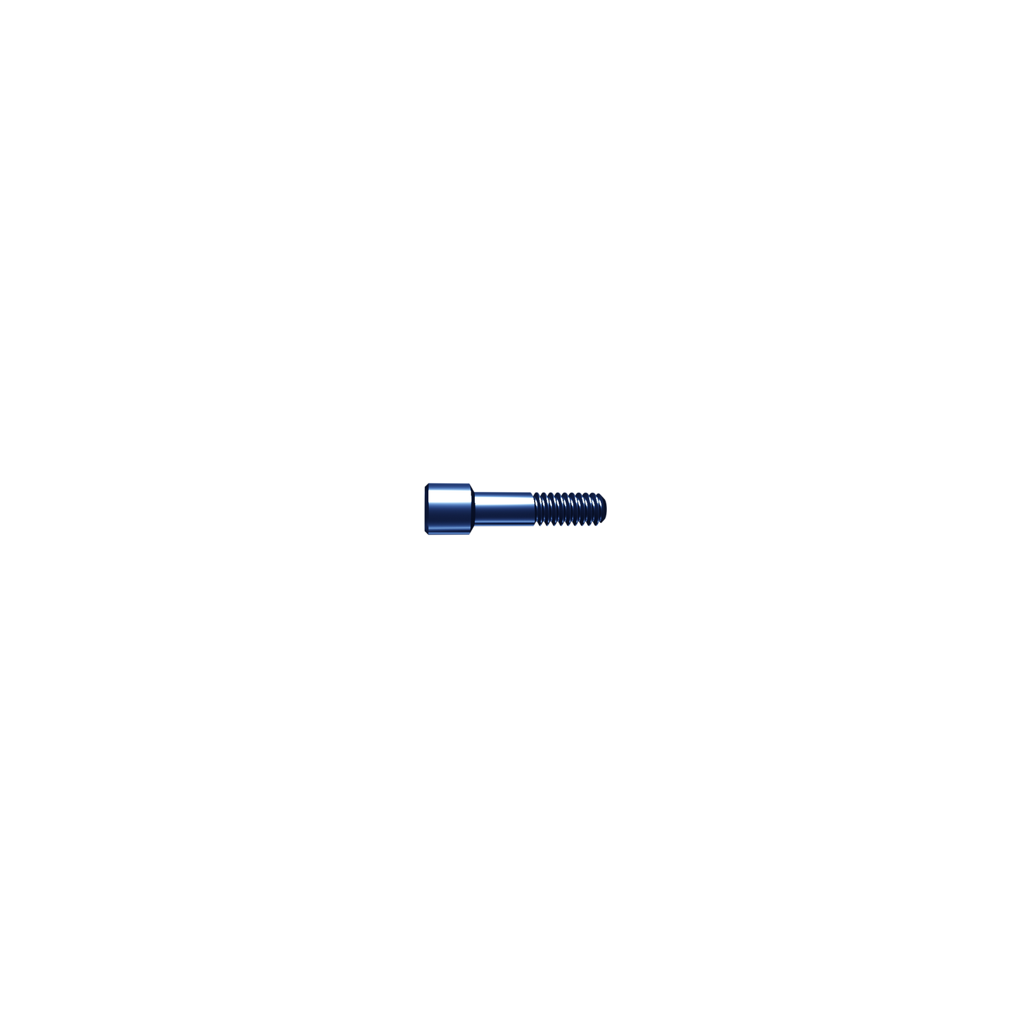 Screw temporary