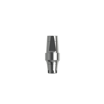 Titanium straight abutment WP (H 4.0 mm).