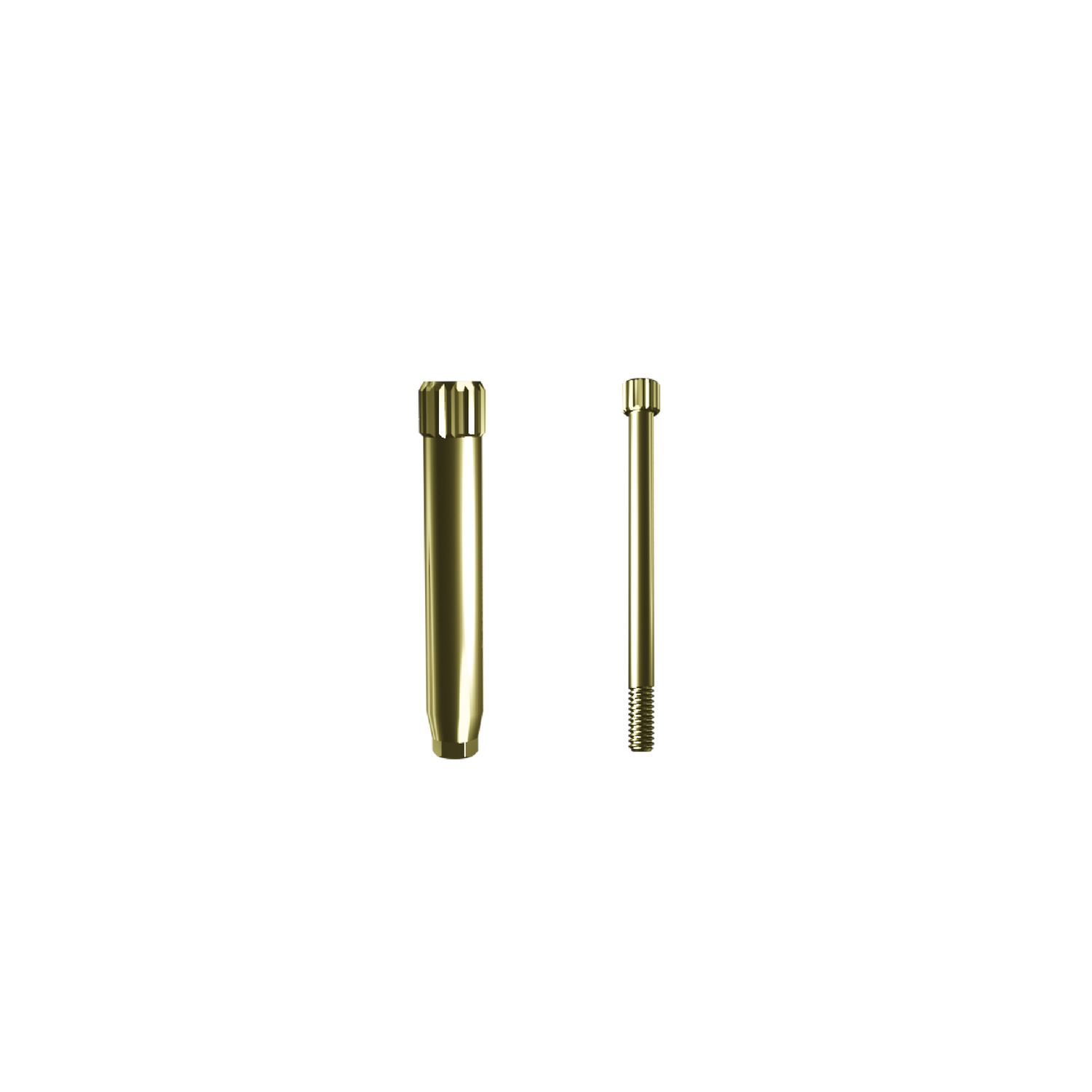 3D-Implant analog positionner WP. Complete with screw.