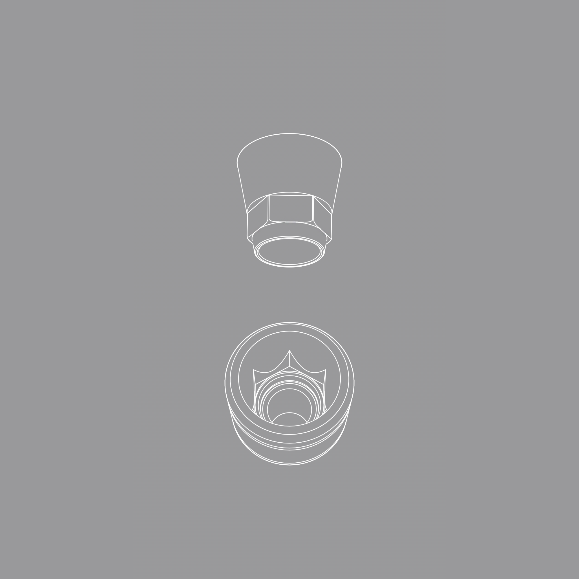 Titanium straight abutment (H 2.0 mm).