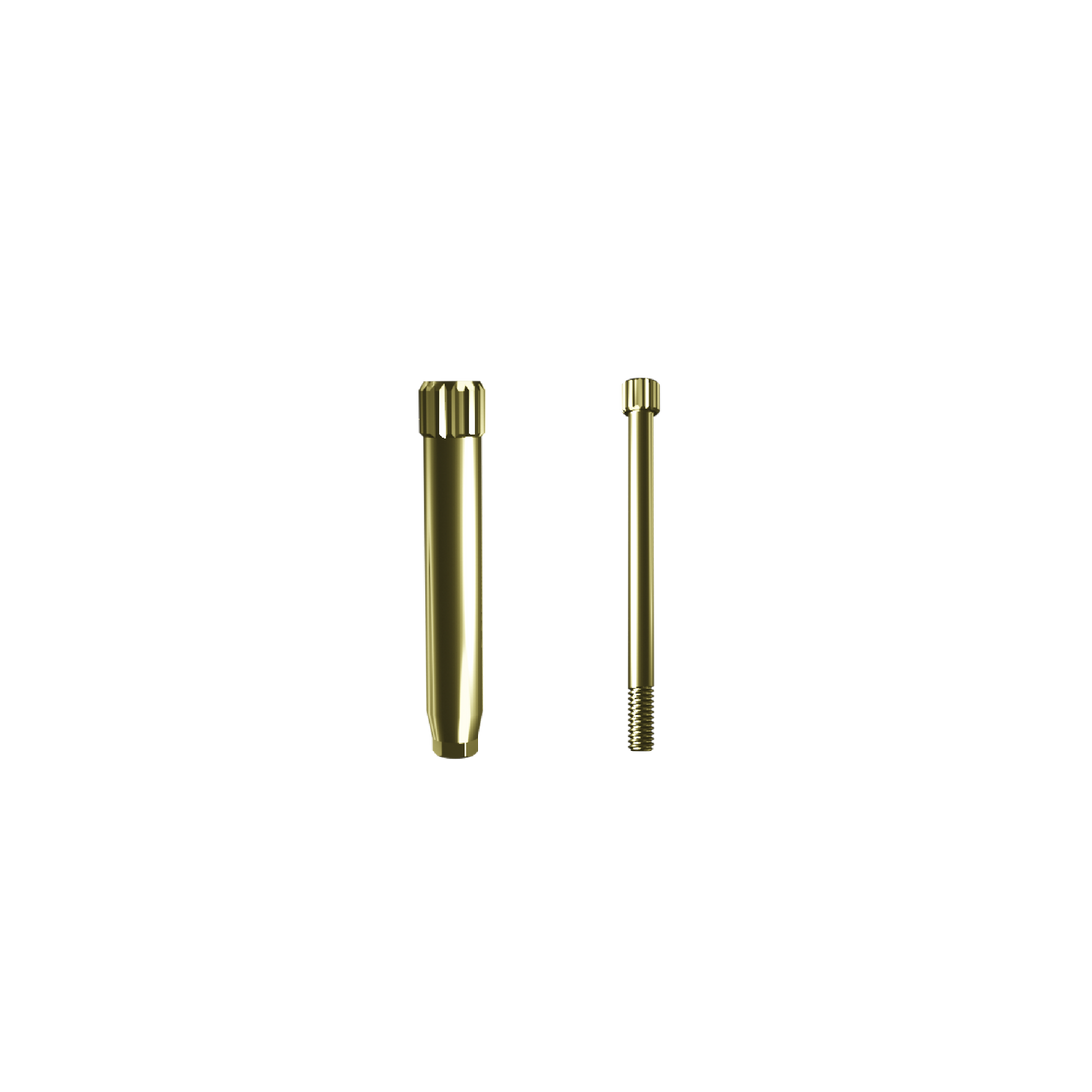 3D implant analog positioner, NP.