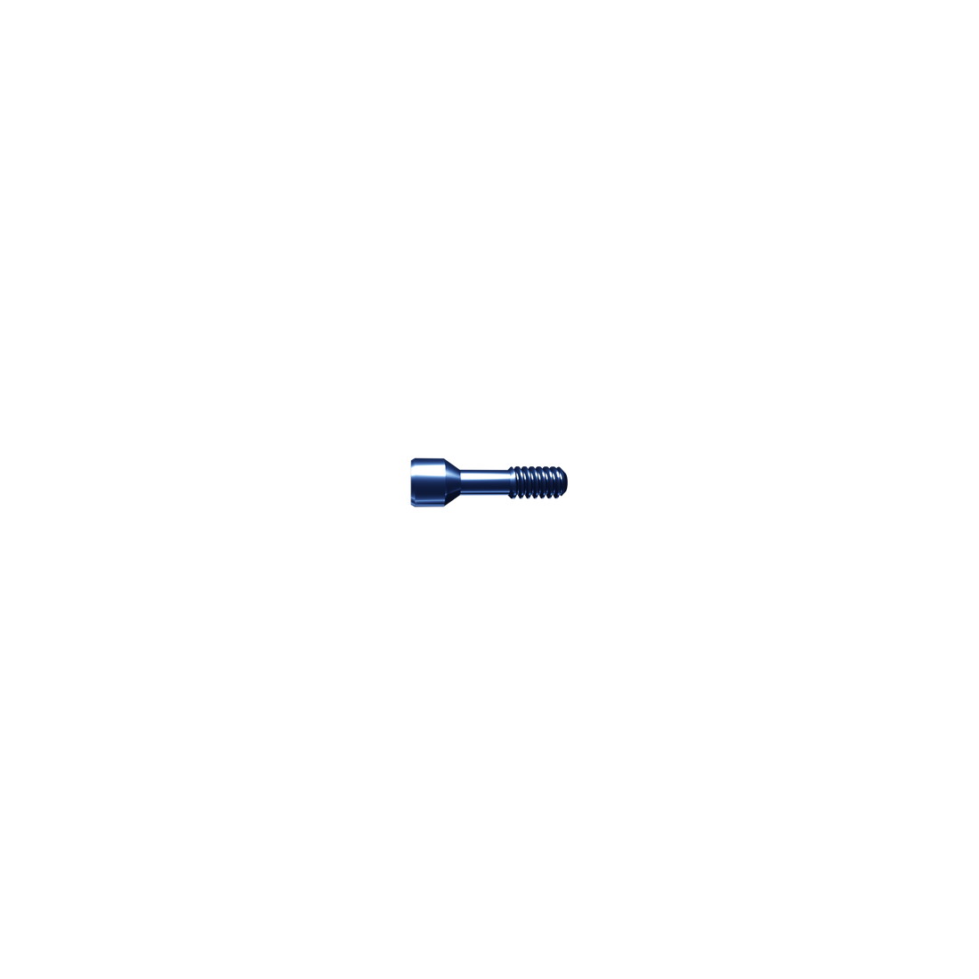 Screw temporary