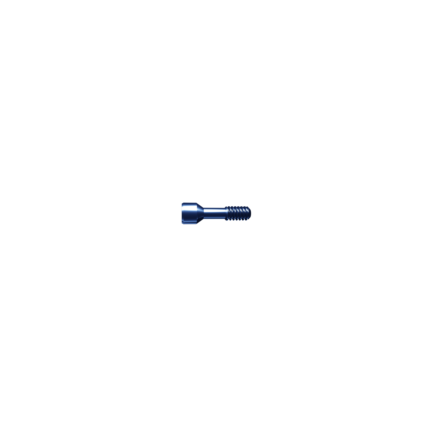 Screw temporary