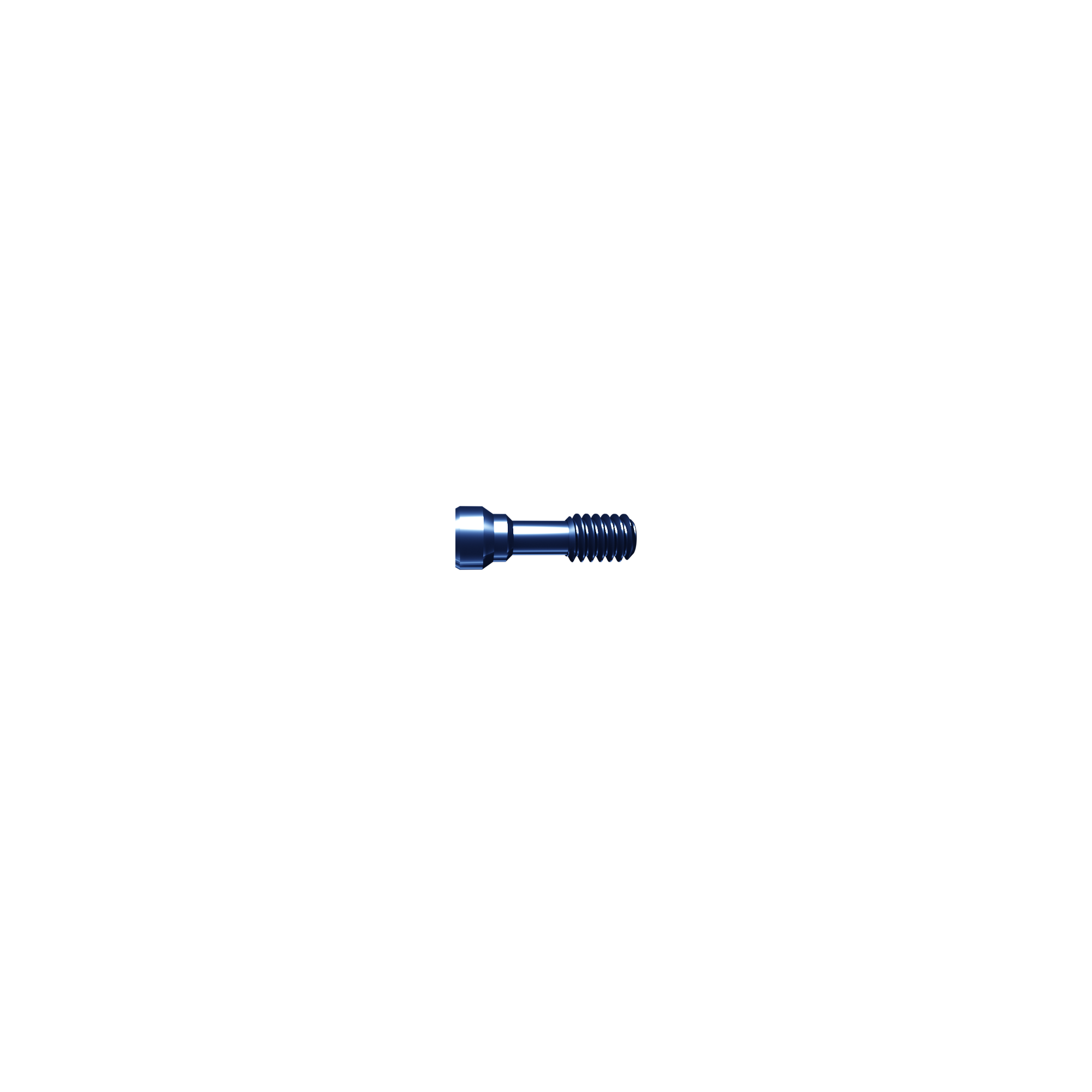 Screw temporary