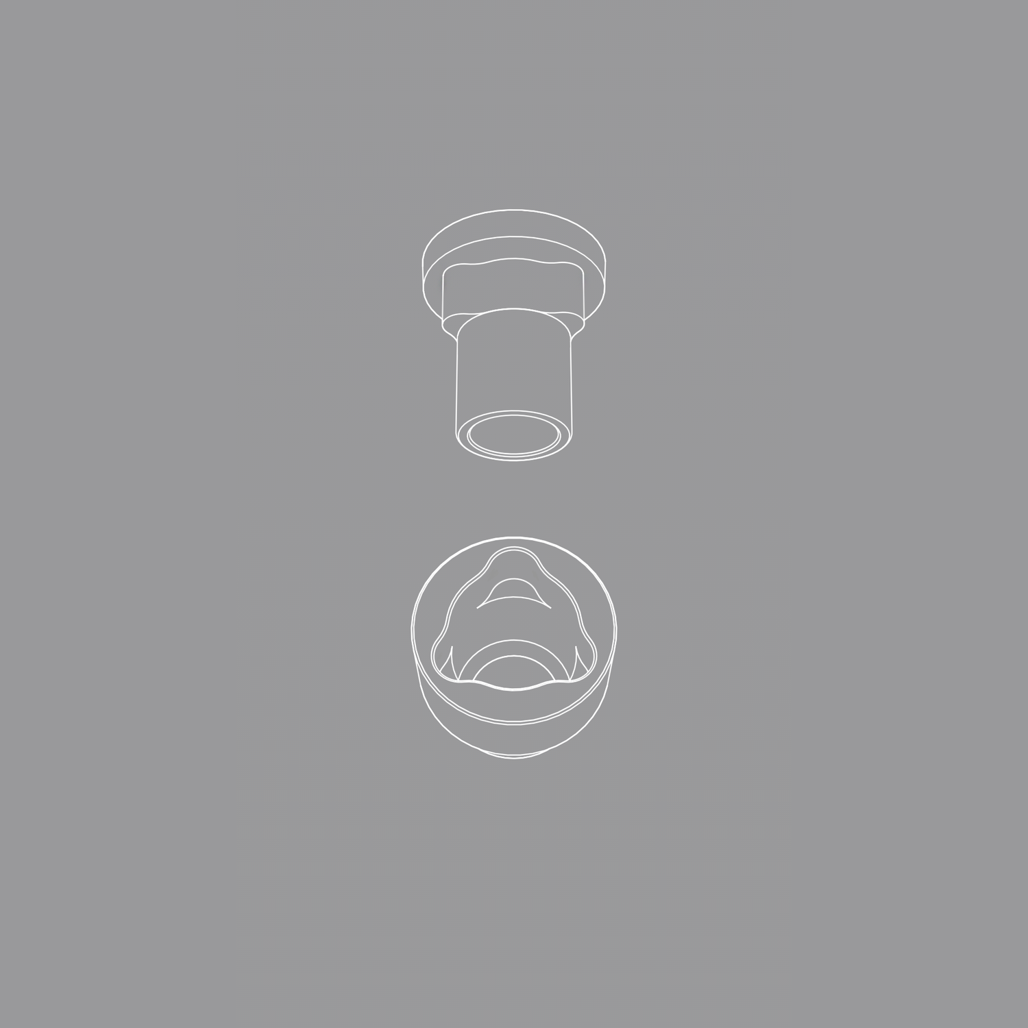 Scanbody Hybrid (Titanium/PEEK) NP.